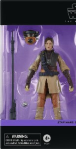 Princess Leia Organa (Boushh)