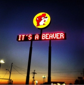 a trip to bucees