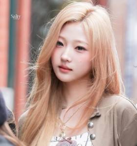Stella (h2h)