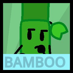 Bamboo