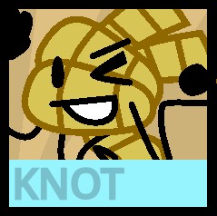 Knot