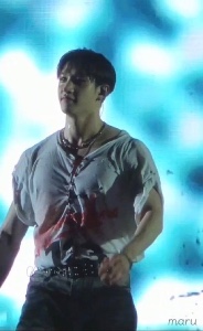 shoulders and pecs top