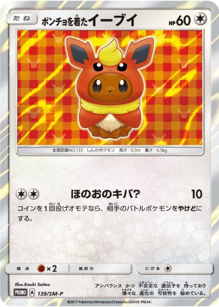 Poncho Wearing Eevee (Flareon)