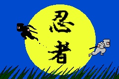 Ninja Bodyguard