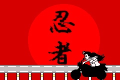 Ninja's Descendant