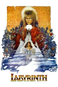 43751-labyrinth-0-2000-0-3000-crop