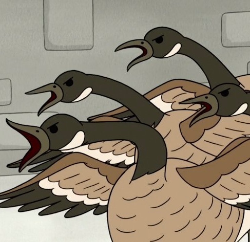 Geese