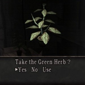 Green herb
