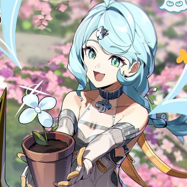 Seed