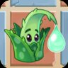 Aloe (2C Version)