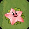 Angel Starfruit