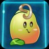 Bean Sprout
