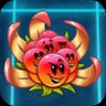 BoomBerry