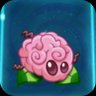 Brain Stem