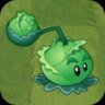 Cabbage-pult