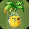 Celebration Soda Palm