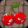 Cherry Bomb