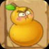 Fire Gourd