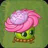Gardener Grass