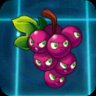 Grapeshot
