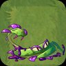 Green Snake Vine