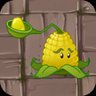 Kernel-pult