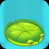 Lily Pad