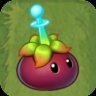 Mangosteen