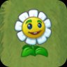 Marigold (2C Version)