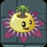 Maypop Mechanic