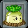 Mischief Radish