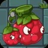 Mulberry Blaster