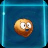 Murkadamia Nut
