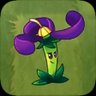 Nightshade