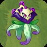 Orchid Mage