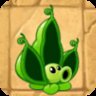 Pea Pod