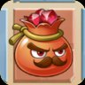 Pomegranate Jeweler