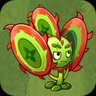 Sawblade Sundew