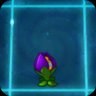 Shrinking Violet