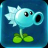 Snow Pea