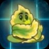 Solar Sage