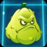 Squash