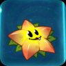 Starfruit