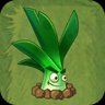 Sunshine Leek