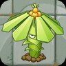 Tupistra Stalker