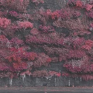Sleep Token - Even in Arcadia