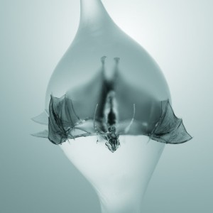 Unprocessed - Angel