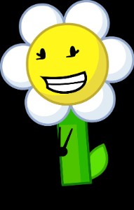 Marigold