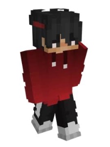 Mapicc