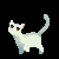 Eelpaw